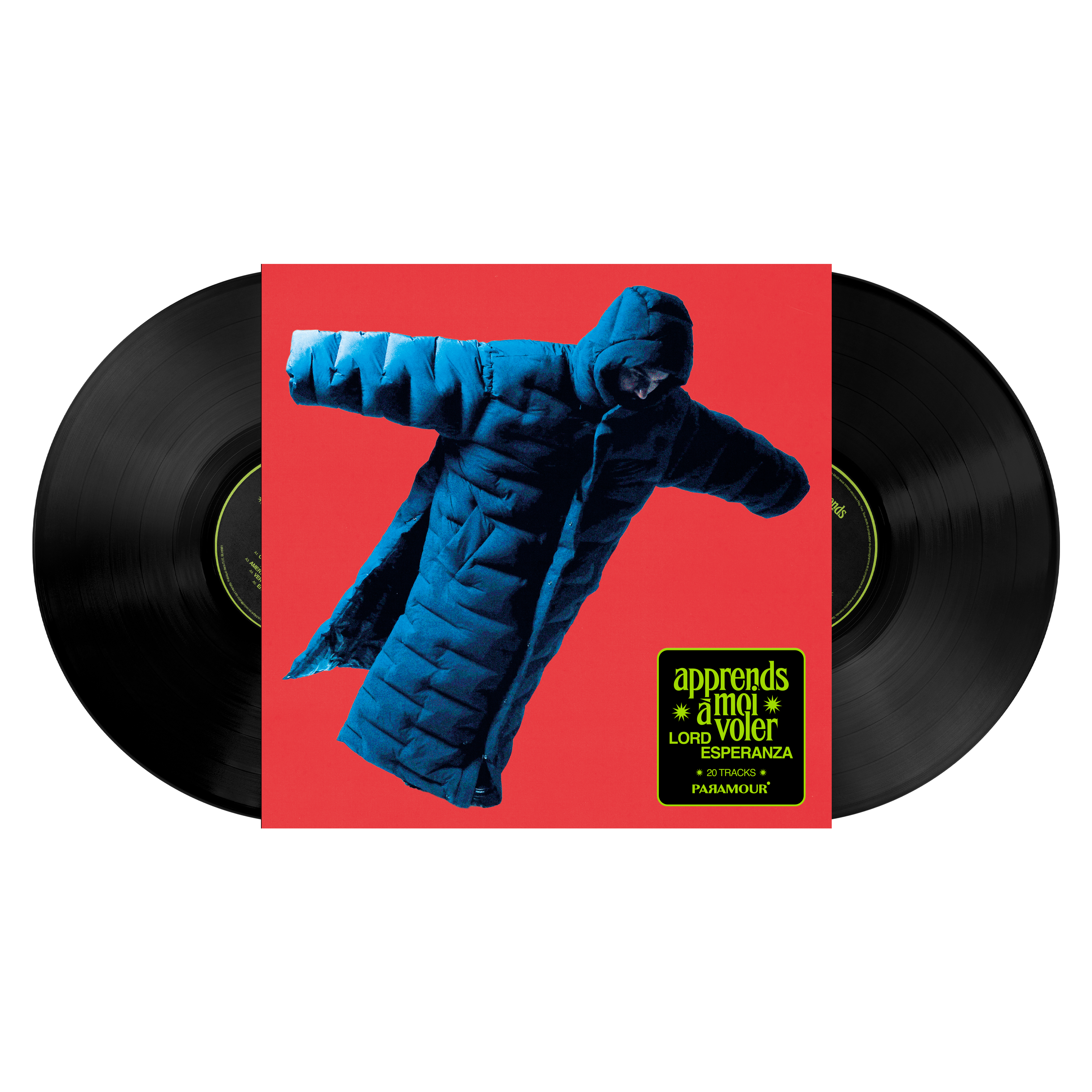 VINYLE APPRENDS-MOI A VOLER