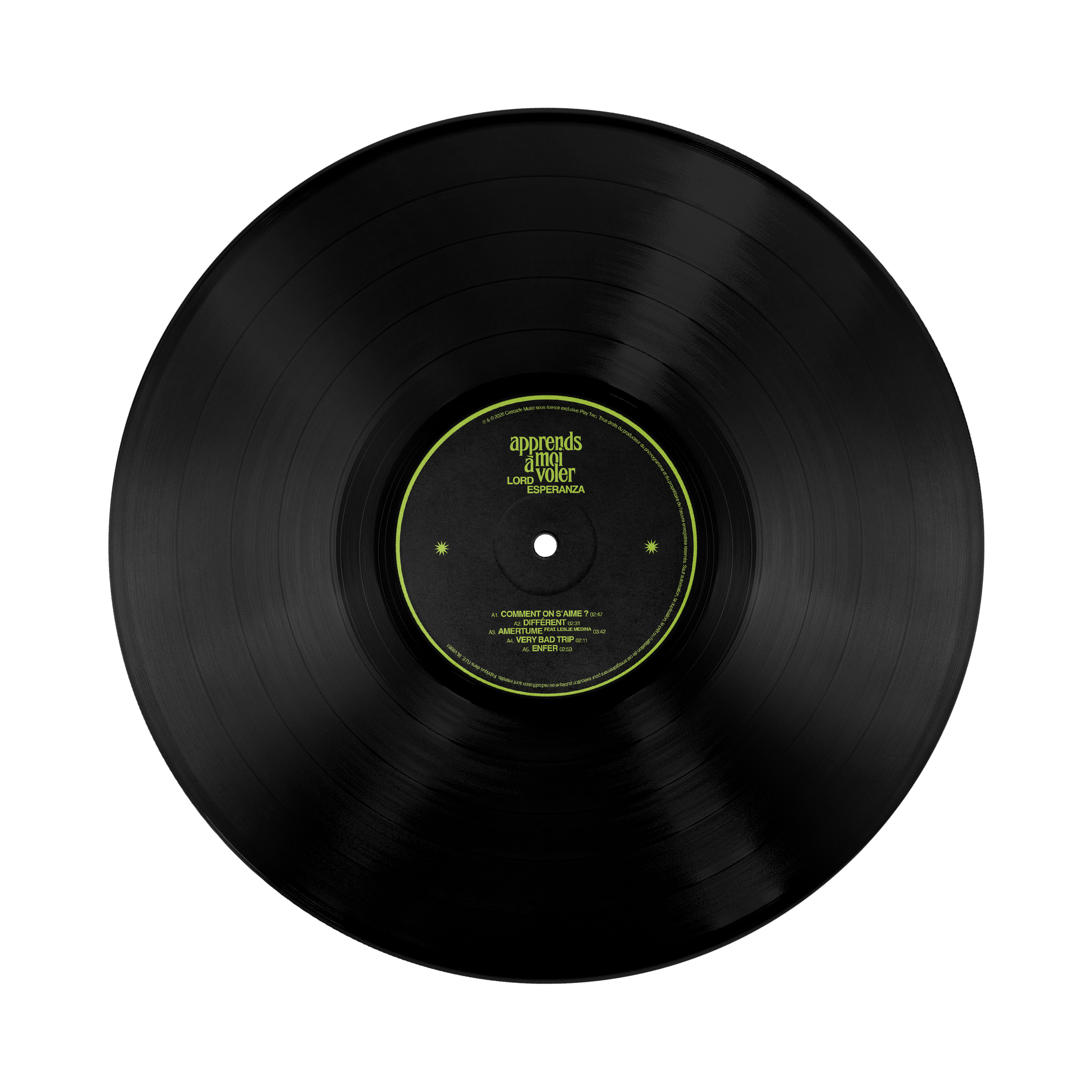 VINYLE APPRENDS-MOI A VOLER